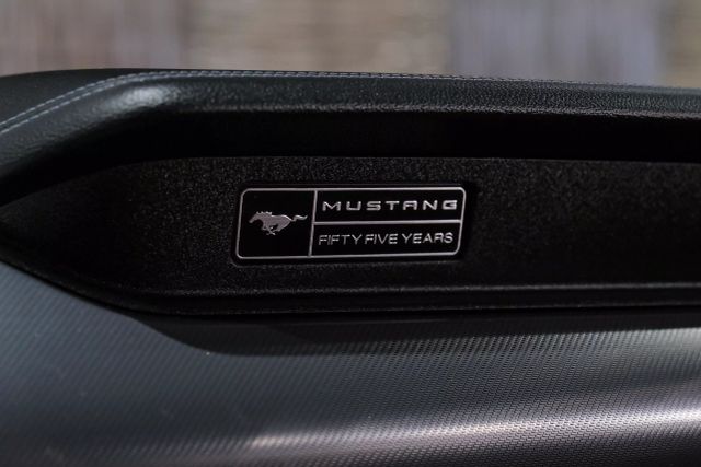 2020 Ford Mustang GT Premium Coupe 2D photo