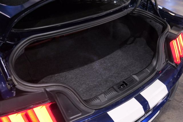 2020 Ford Mustang GT Premium Coupe 2D photo