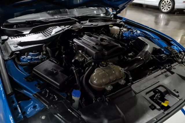 2020 Ford Mustang EcoBoost Coupe 2D photo