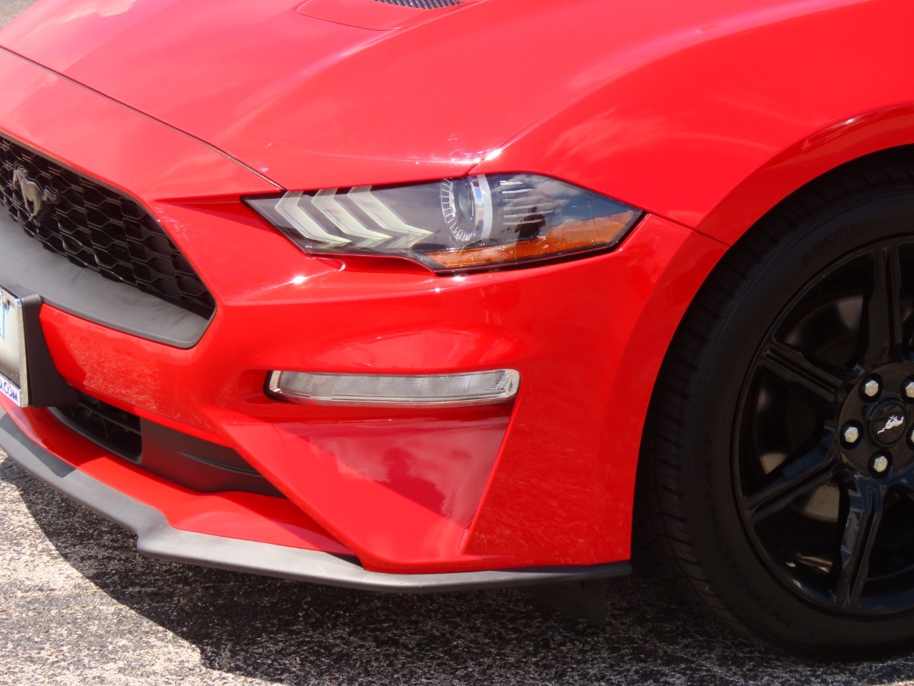 used 2019 Ford Mustang car, priced at $20,999