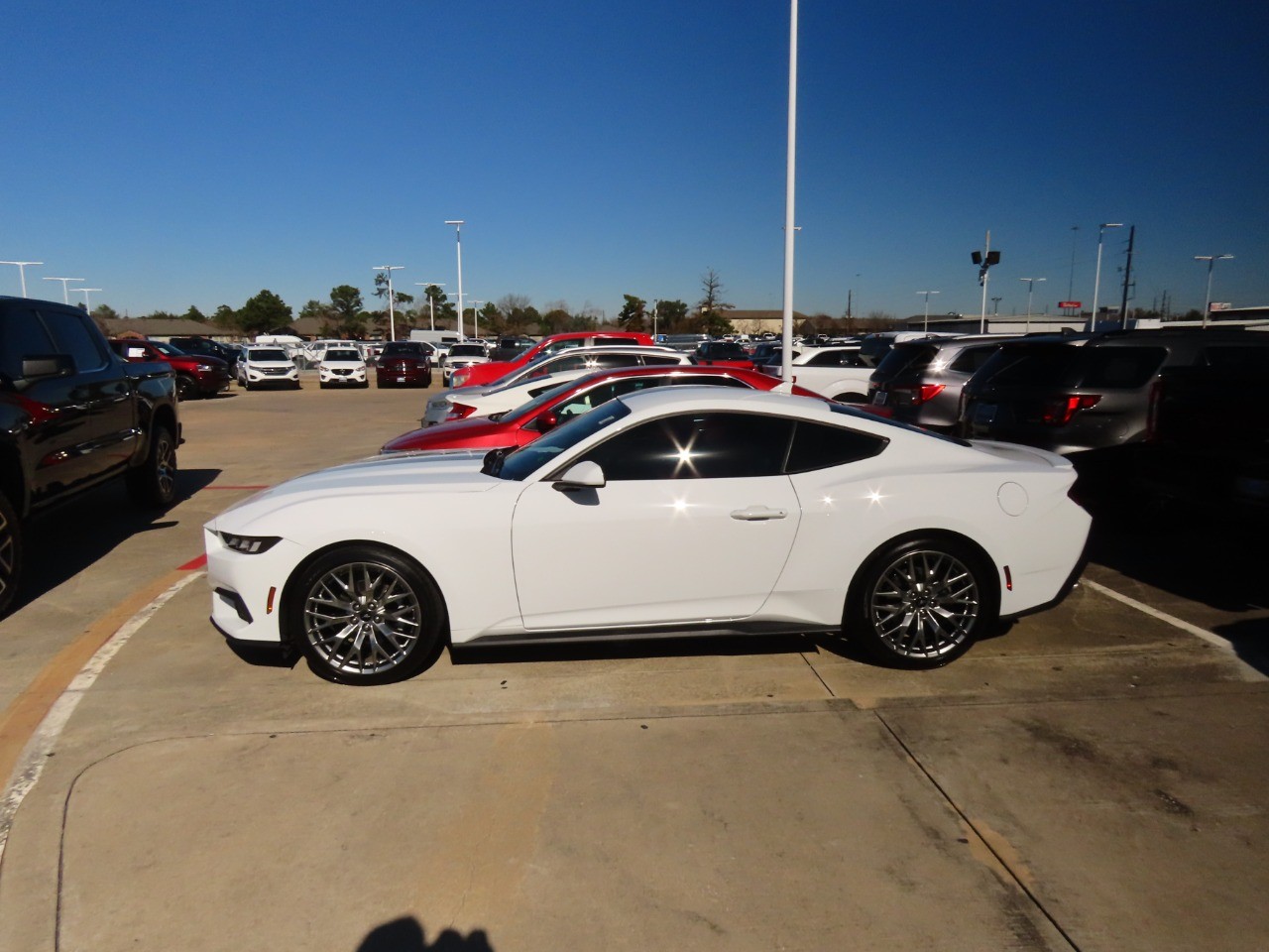 used 2024 Ford Mustang car, priced at $34,999