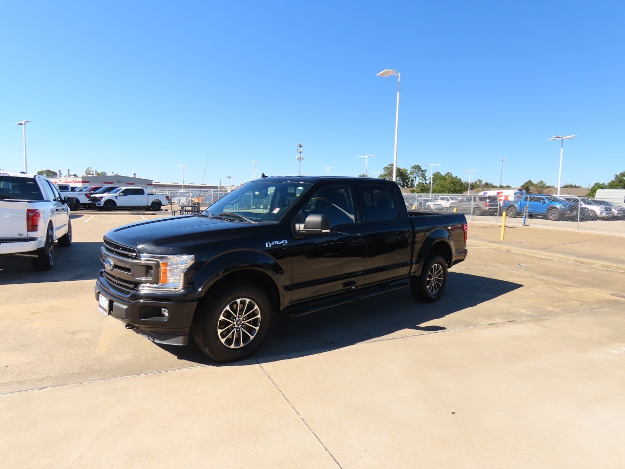 used 2019 Ford F-150 car, priced at $33,999