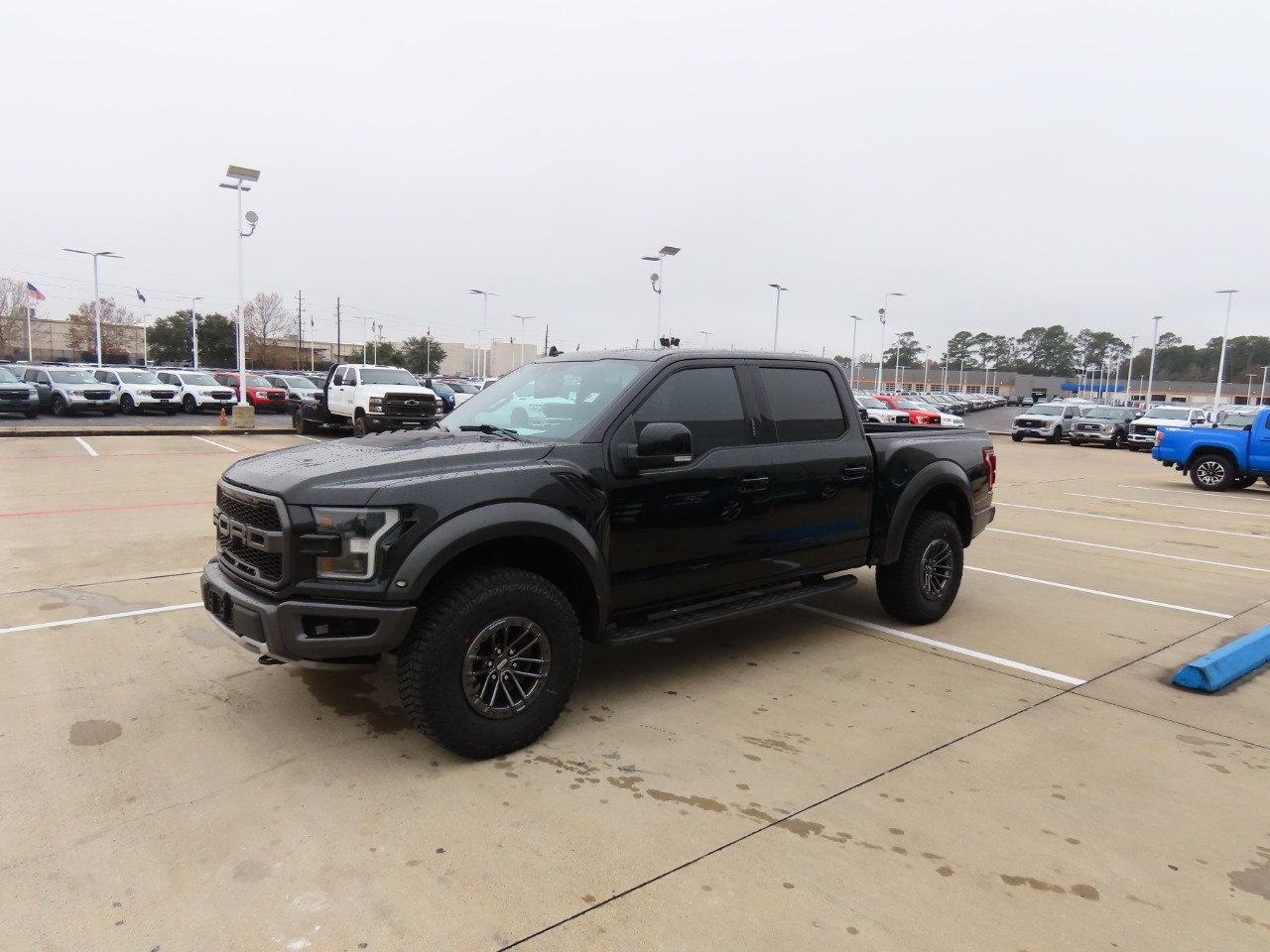 used 2019 Ford F-150 car, priced at $48,999