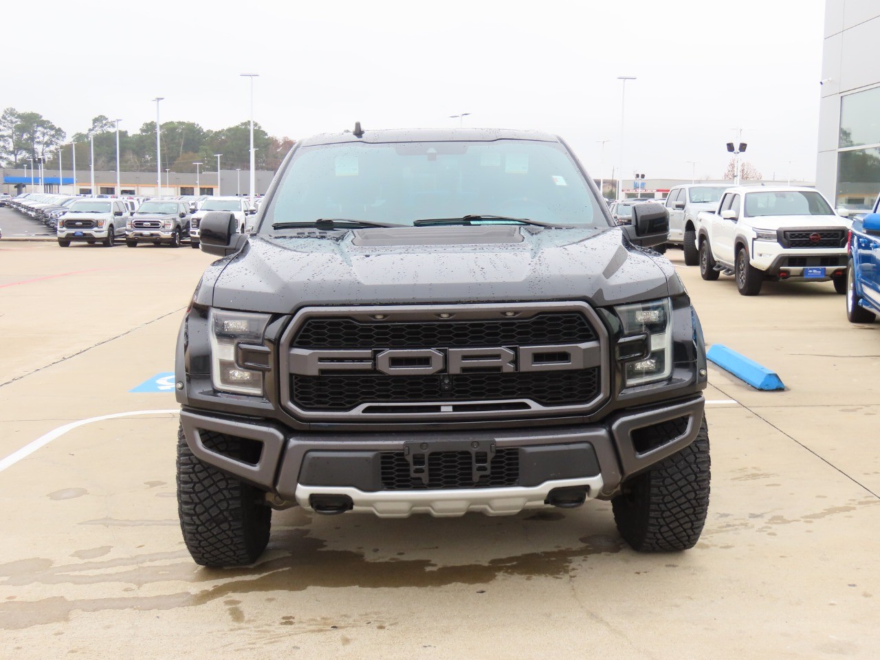 used 2019 Ford F-150 car, priced at $48,999