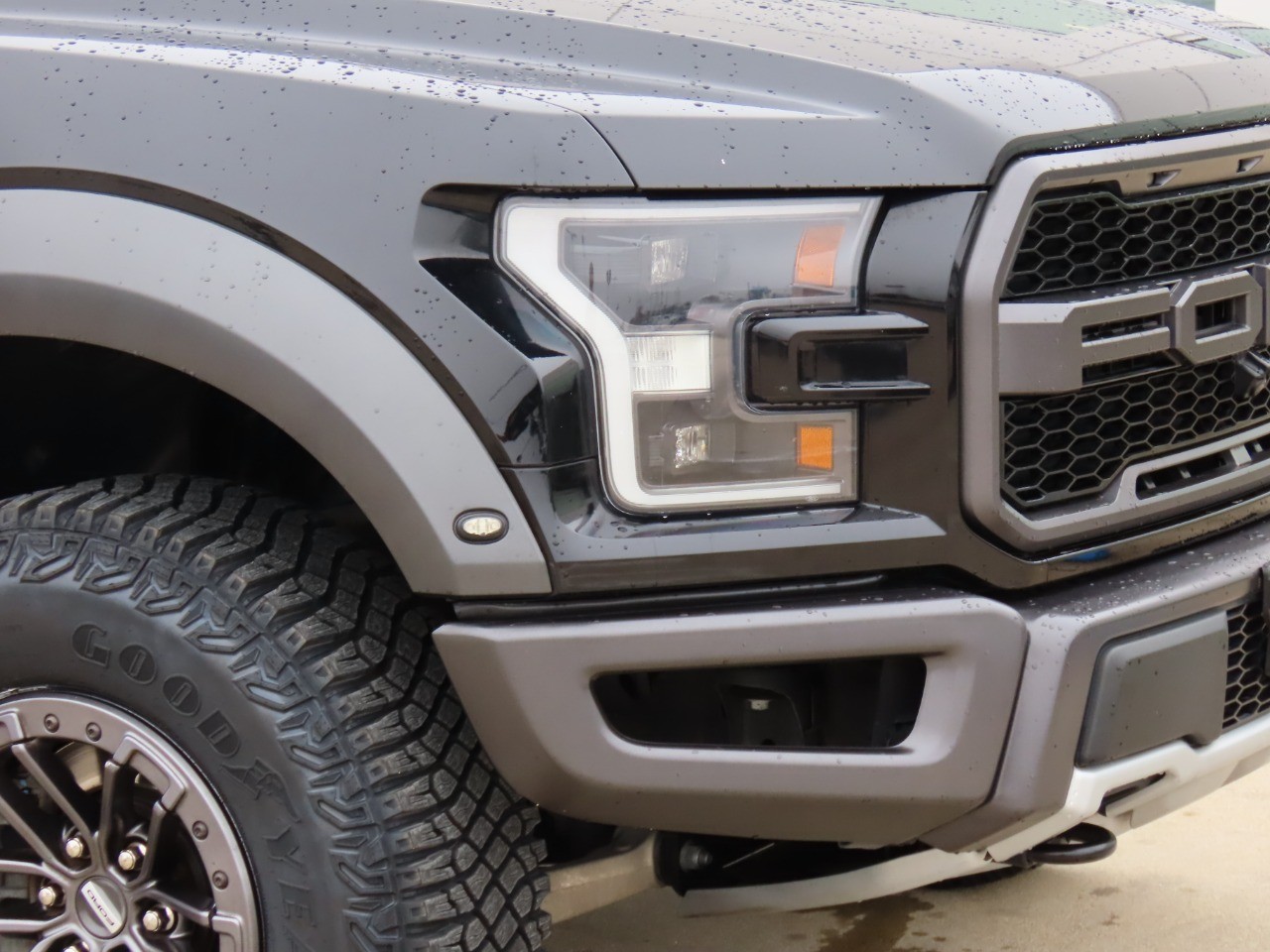 used 2019 Ford F-150 car, priced at $48,999