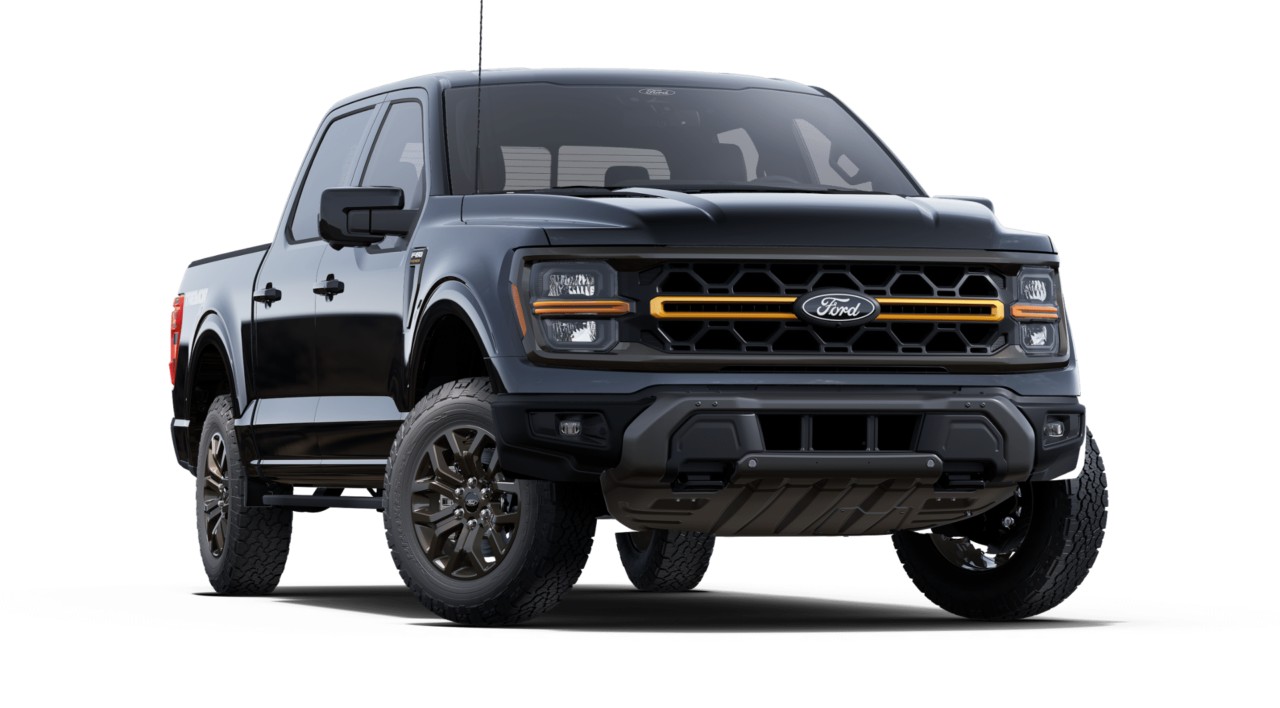 new 2025 Ford F-150 car