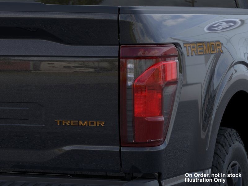 new 2025 Ford F-150 car