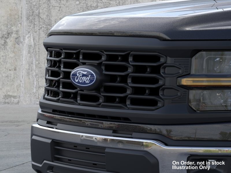 new 2024 Ford F-150 car